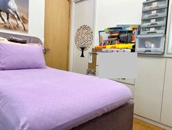 Nyon (D15), Apartment #521175561